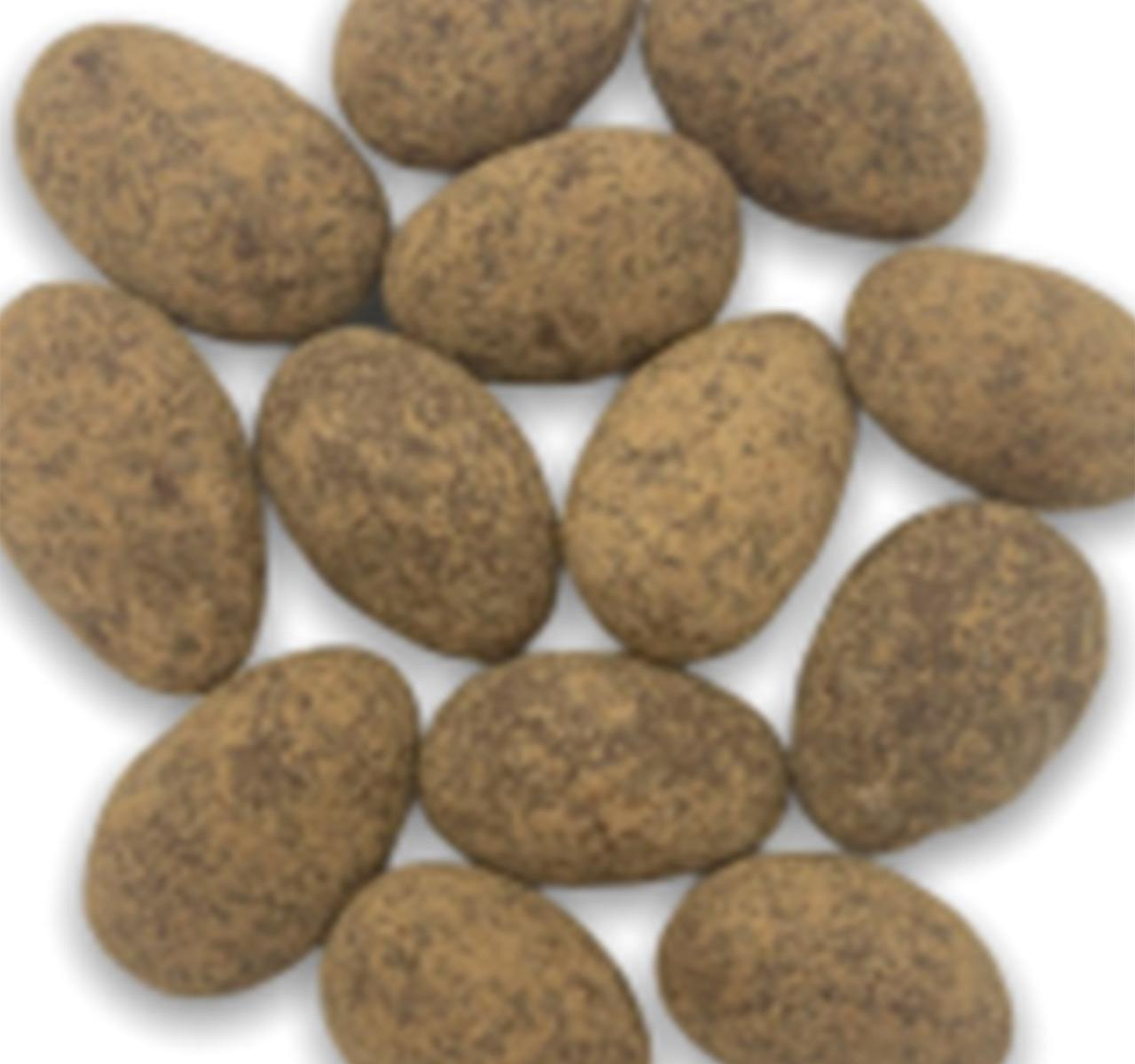 Hot Chocolate Almonds 2/5lb