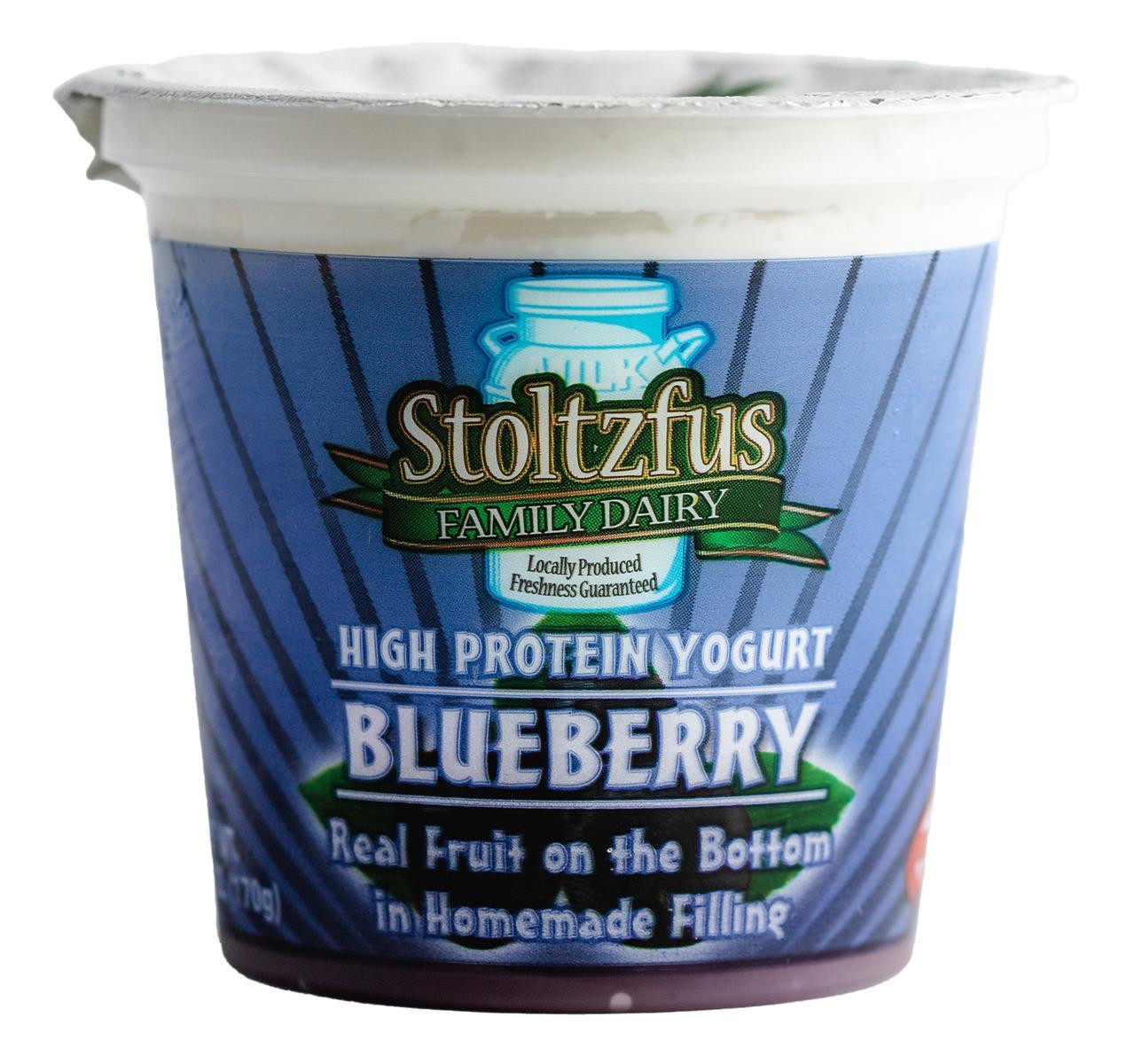 Blueberry Yogurt 6/6oz