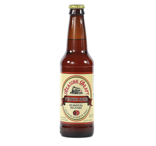 Pumpkin Spice Soda 12/12oz View Product Image