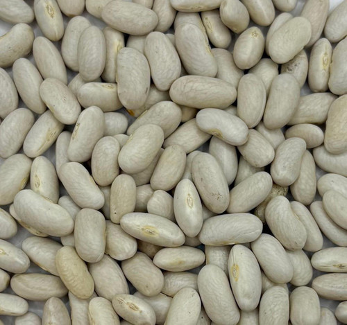 White Kidney Beans 20lb
