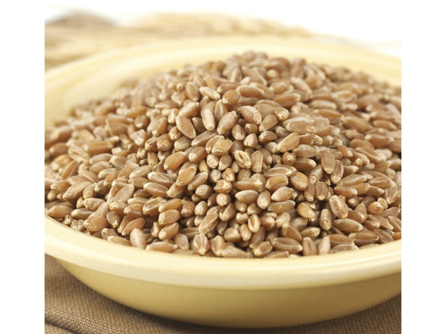 Whole Grain View Product Image