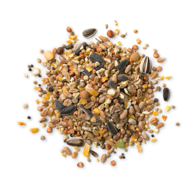 Seeds View Product Image