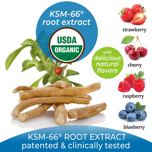 Test  Clean & Pure Ashwagandha Gourmet Gummies