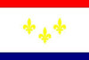 City of New Orleans Flag 3x5 ft Economical