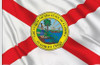 State of Florida Flag Rough Tex