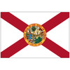 State of Florida Flag Rough Tex