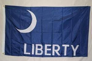 Fort Moultrie Flag Sticker Decal Self Adhesive Vinyl Militia - Foto 2