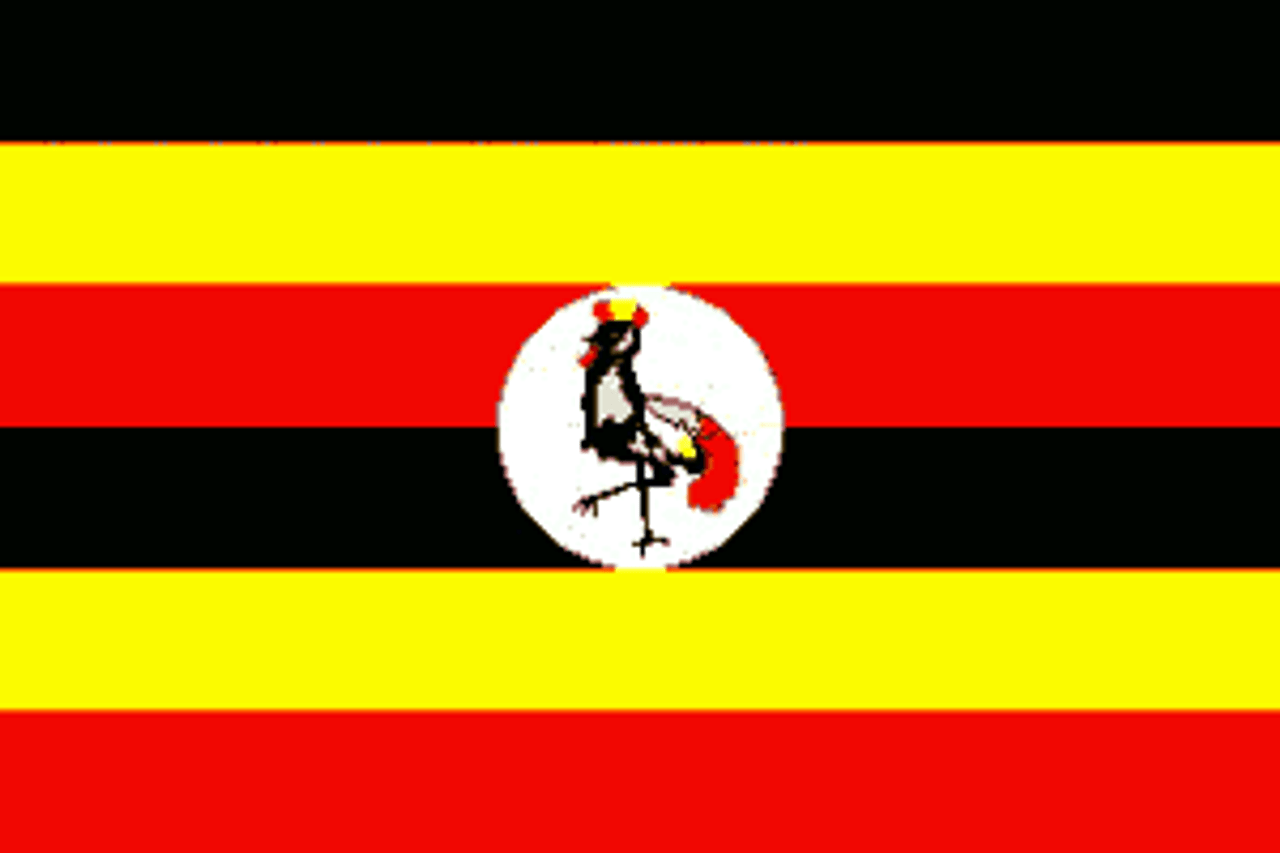 Uganda Flag 2 X 3 ft.