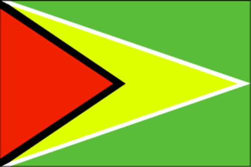 Guyana Flag 3x5 ft. Economical