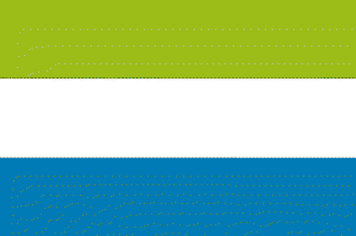 Sierra Leone Flag 3 X 5 ft. Standard