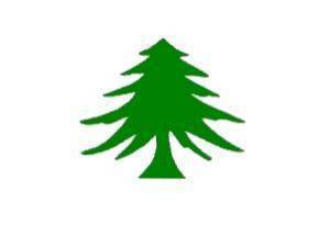 Pine Tree Flag 3 X 5 ft. Standard