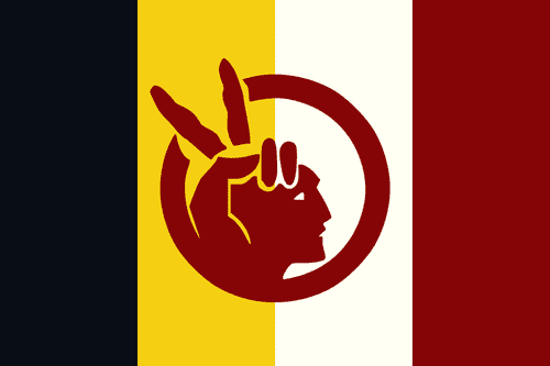 American Indian Movement Flag 3x5 Economical
