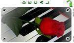 Rose on Piano Decal