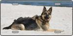 German Shepherd Dog License Plate