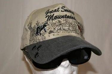 Great Smokey Mountains Cap