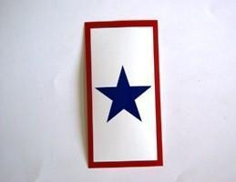 Service One Star Bumper Sticker