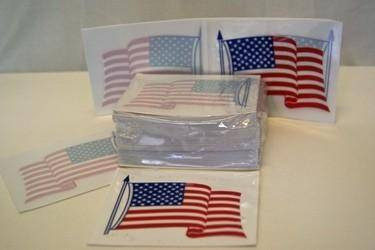 USA Inside Sticker
