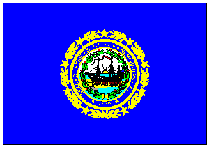 State of New Hampshire Flag 2 X 3 ft. Junior
