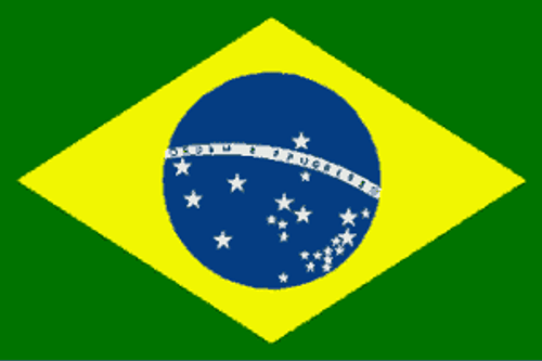 Brazil Flag 12 x 18 inch on Stick