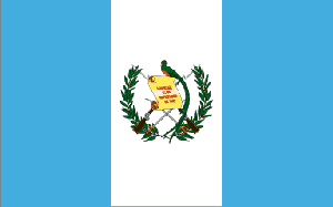 Guatemala Flag 2 X 3 ft. Junior