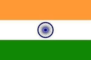 India Flag 4 X 6 inch on stick