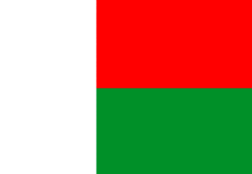 Madagascar Flag 4 X 6 inch on stick