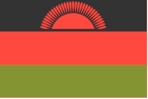 Malawi Flag 2 X 3 ft. Junior