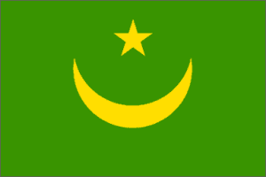 Mauritania Flag 2 X 3 ft. Junior