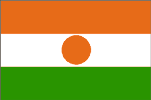 Niger Flag 4 X 6 inch on stick