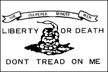 Culpeper 3 x 5 E-Poly Flag