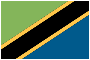 Tanzania Flag 2 X 3 ft.