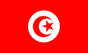 Tunisia Flag 2 X 3 ft.
