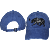 Bear Faded Blue Cap