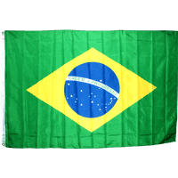 Brazil 4 X 6 ft. Standard