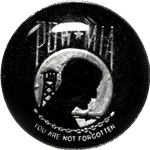 POW MIA Lapel Pin