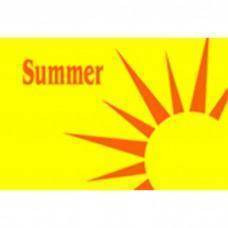 Summer 3 x 5 Nylon Dyed Flag (USA Made)