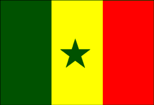 Senegal 4 x 6 Inch Flag Mounted on Stick
