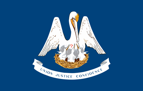 State of Louisiana Flag 2 X 3 ft. Junior