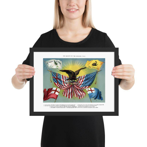 US Revolution Flags matte paper poster
