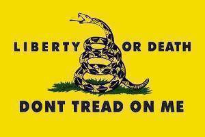 Gadsden Liberty or Death Gold Flag Made In USA