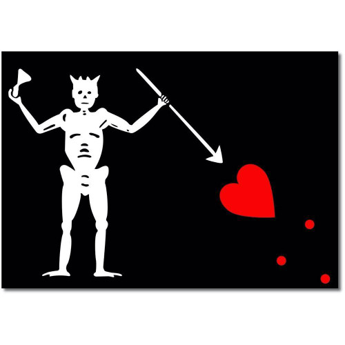 Pirate Blackbeard Edward Teach Flag Nylon - Made in USA