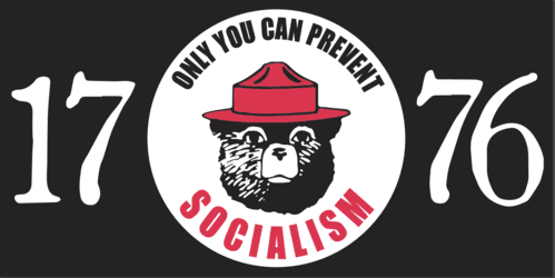 1776 Only You Can Prevent Socialism Flag Made in USA