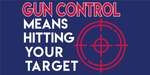 Gun Control Means Hitting Your Target Bumper Sticker
