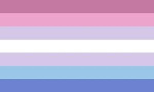 12x18 Inch BiGender Pride Flag - Rough Tex