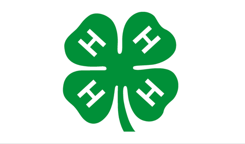 3'x5' 4H Flag - Rough Tex