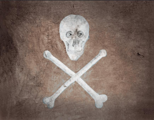Old Pirate 3x5 ft Flag - Rough Tex