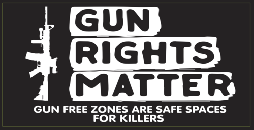 Gun Rights Matter Bumper Sticker
