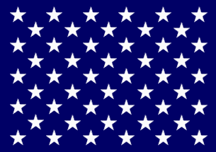 Union Navy Jack Nylon Printed - Made in USA