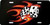 Red Hot Flaming Dice License Plate