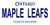 Ontario Canada Province Background License Plate - Maple Leaf